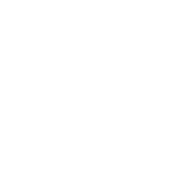 交易BONE安全吗？